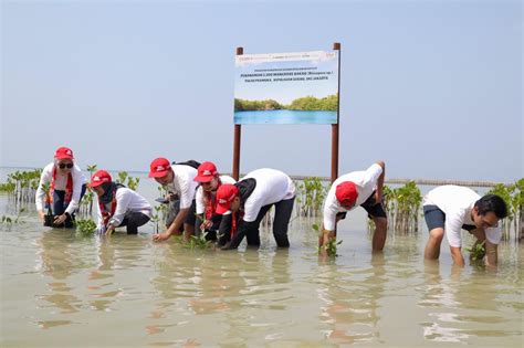 Tanam Ribuan Pohon Ahm Perkuat Upaya Penyerapan Karbon Untuk Mitigasi