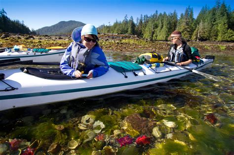 Haida Gwaii Kayaking Tours In Gwaii Haanas Park Since 1988