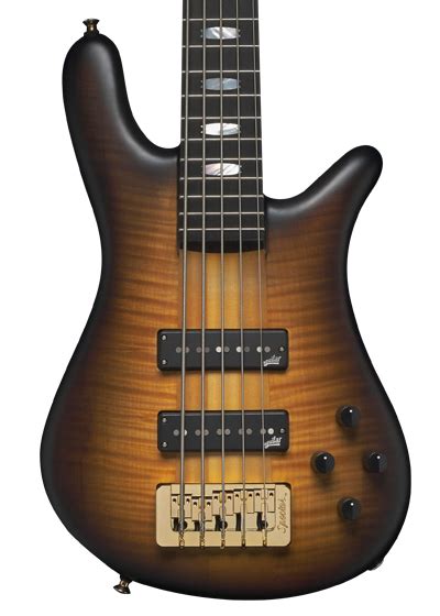 High Performance Series Spector Bass