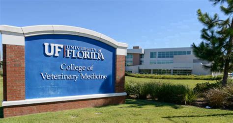 What Are The Best Veterinary Colleges? - College US