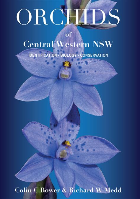 Orchids Of Central Western Nsw Identification Biology Conservation