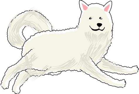 サモエド犬イラスト／無料イラスト フリー素材なら「イラストac」