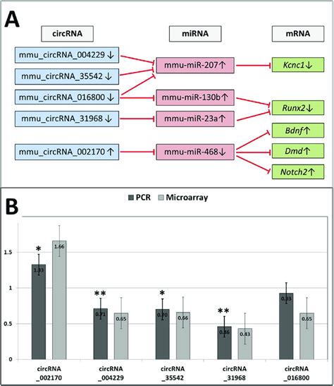 Quantitative PCR Validation Of Differentially Expressed CircRNAs