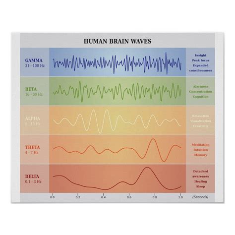 Alpha Beta Gamma Waves - ZacheryaresHorn