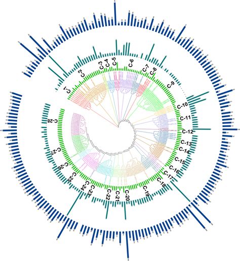 Phylogenetic Tree Of Myb Protein P Avium And A Thaliana With Each