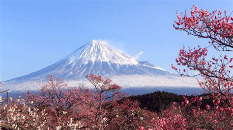 Mount Fuji Wallpapers - Wallpaper Cave