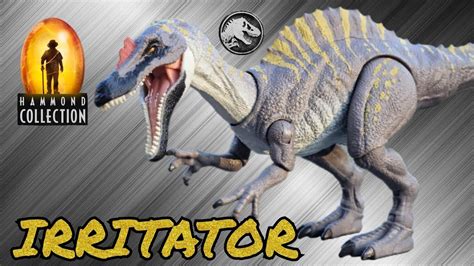 Jurassic World Hammond Collection Irritator 2023 Mattel YouTube