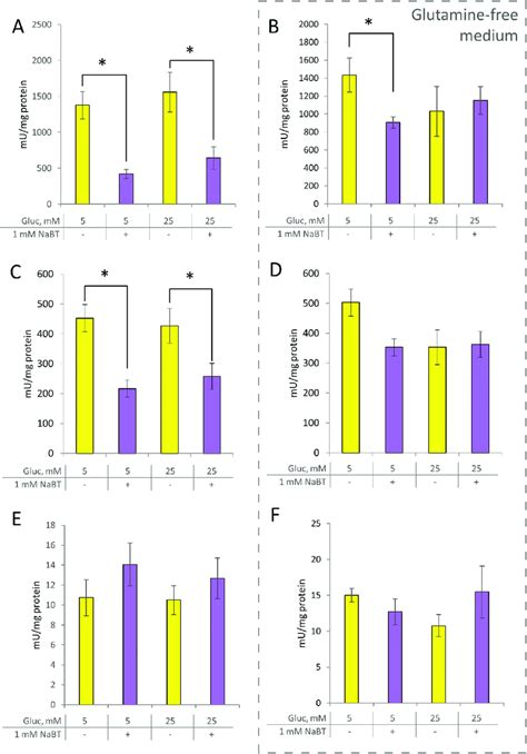 Effect Of Sodium Butyrate On The Activity Of Main Glycolytic Enzymes