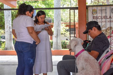 Gran Respuesta A La Segunda Jornada De Esterilizaci N Canina Y Felina