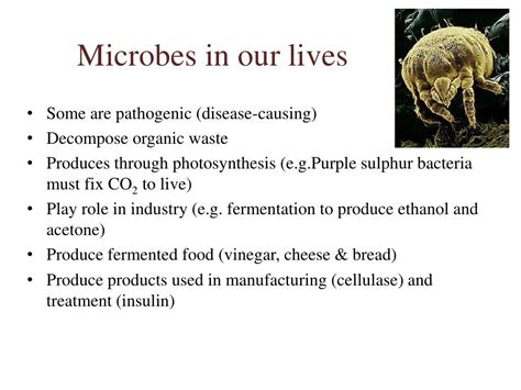 1 Introduction To Microbiology