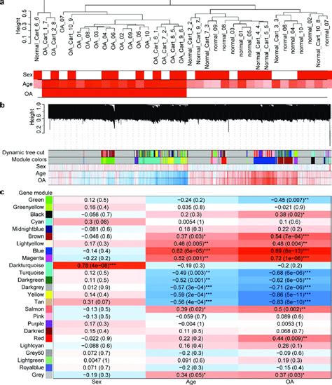 Cluster Dendrograms And Correlation Heat Maps A Cluster Dendrogram Download Scientific