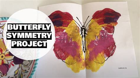 Art Project Butterfly Symmetry Painting Youtube