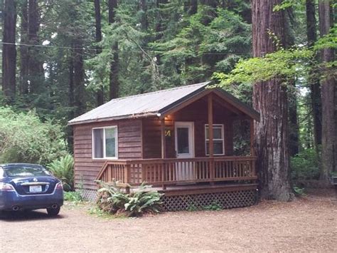 Emerald Forest of Trinidad Cabins, Trinidad, CA - California Beaches