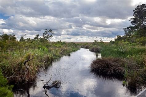 Nags Head Woods Preserve photo spot, Kill Devil Hills