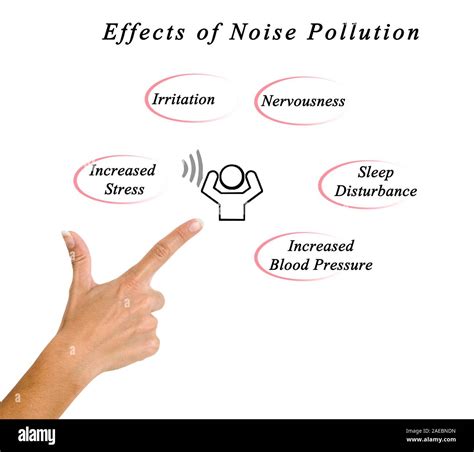 Effects Of Noise Pollution