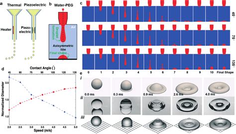 A Overview Of The Most Widespread Inkjet Bioprinting Approaches