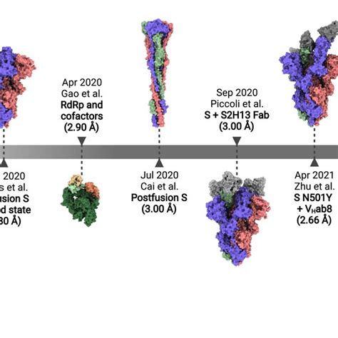 Brief Timeline Of Cryoem Milestones In The Study Of Sarscov