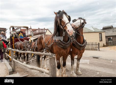 Sovereign Hill open air museum Stock Photo - Alamy