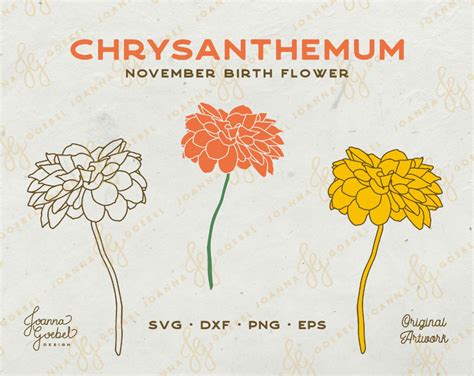 Mums Flowers, Fall Flowers, Pretty Flowers, November Birth Flower ...