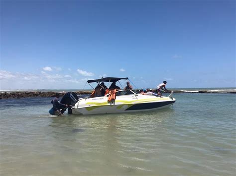 Encante se Golfinhos Passeio de Lancha Inesquecível em Pipa