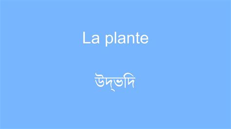 Apprendre Le Bengali Focus Sur Le Vocabulaire Youtube