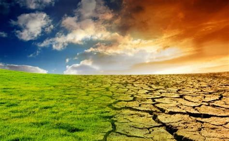 RISORSE IDRICHE E CAMBIAMENTI CLIMATICI Finagro