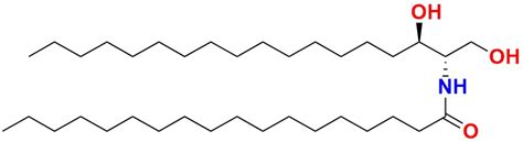 Msds