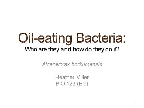 (PDF) Oil-eating bacteria (Alcanivorax borkumensis)