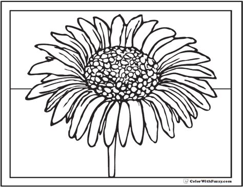 Daisy Coloring Page Customizable Pdfs Coloring Nation