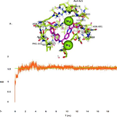 (PDF) Exploring RdRp–remdesivir interactions to screen RdRp inhibitors ...