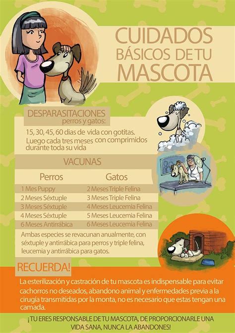 Cuidados Basicos De Tu Mascota Consejos Para Mascotas Salud De Las