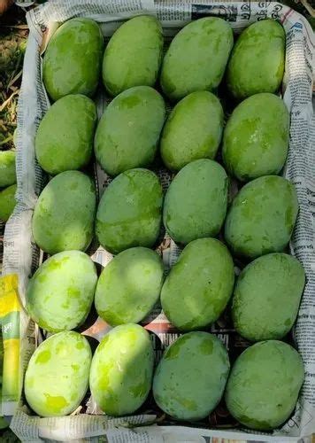 Yellow Himsagar Mango Crate Packaging Size Kg At Rs Kg In