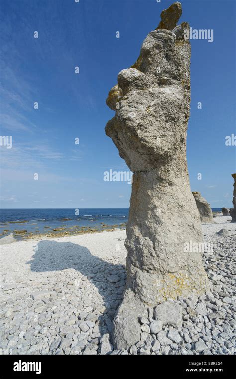 Raukar Seastacks Of Langhammars Sweden Gotland Faroe Stock Photo