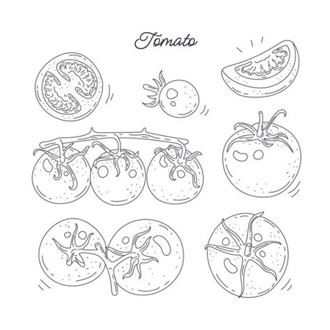 Coloriage Des Tomates Découpées Et Prêtes Pour Ajouter Au Repas