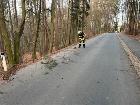 Feuerwehr Nitscha Baumbergung Am 29 01 2022 Hohenberg