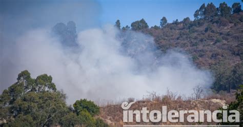 Ltimos Incendios Forestales Arrasaron Con Hect Reas Siguen Activos