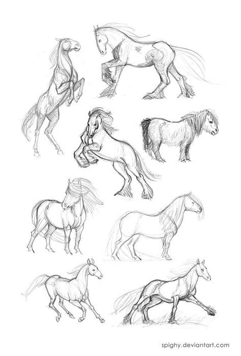 Horse Sketches And Drawings