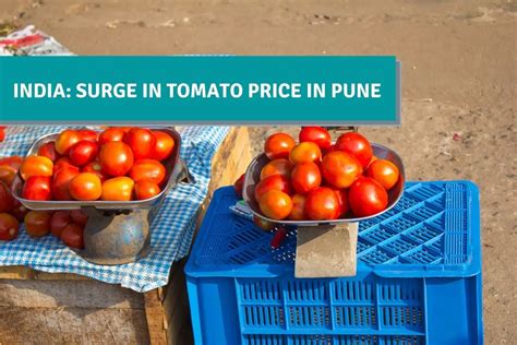 India Surge In Tomato Price In Pune