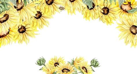 Photos Aquarelle Tournesols Png 76 000 photos de haute qualité gratuites