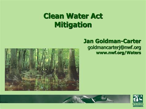 Ppt Clean Water Act Mitigation Jan Goldman Carter Goldmancarterj Nwf