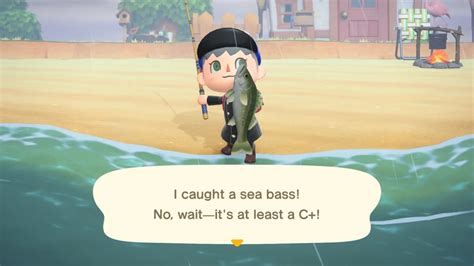 Animal Crossing New Horizons Localization Staffer On The Games