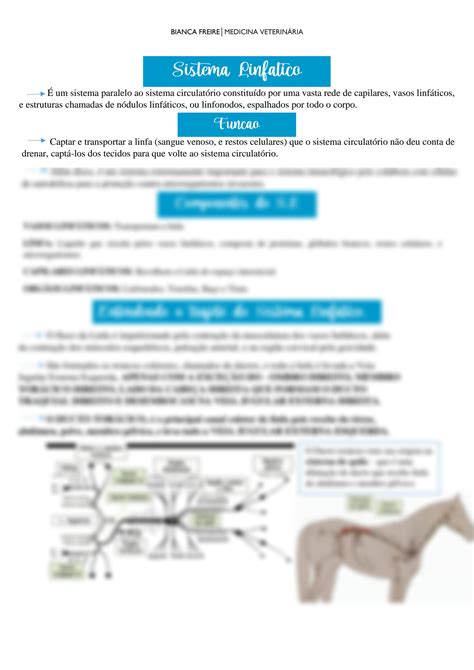 Solution Sistema Linf Tico Studypool