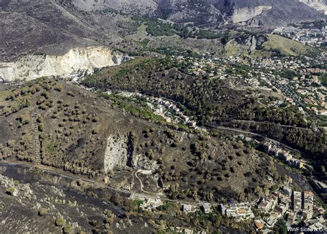 Wwf Gli Incendi A Palermo Unico Piano Criminale Bruciati Mila Ettari