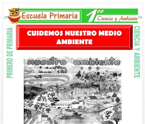 Conocimiento Del Medio Cuidamos El Medio Ambiente Primer Grado Primaria Themelower