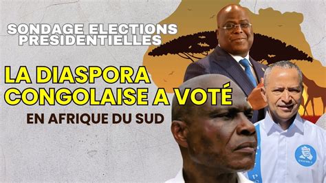 Sondage Lections En Rdc Situation En Afrique Du Sud Diaspora