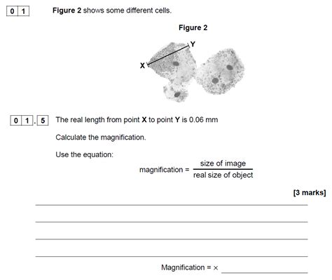 AQA GCSE June 2019 Higher Biology Past Paper 1 Questions And Answers