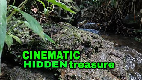 Hidden Treasure P Cinematic Tess Garden Carnagan Brgy Bayabas Toril