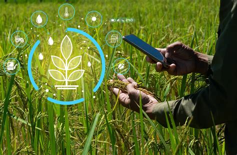 Studio Graphene How Sensor Technology Can Support Agriculture