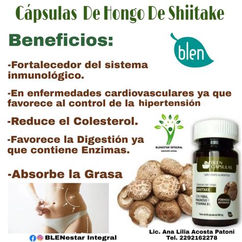 Hongo Shiitake Capsulas Para Que Sirve Tienda Naturista