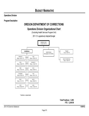 Fillable Online Narrative Instructions The Budget Fax Email Print